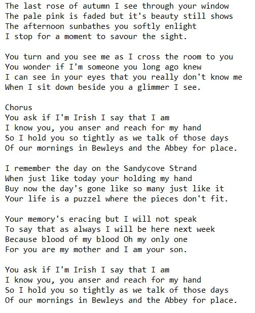 The Irish Rogues Lyrics And Chords - Irish folk songs